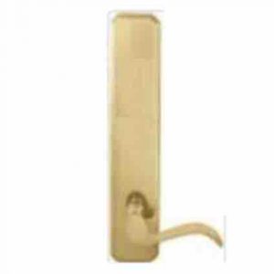Cerr Pair Dummy Placa