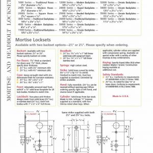 Cerr Pair Dummy Placa - Image 2