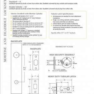 Cerr Pair Dummy Placa - Image 4
