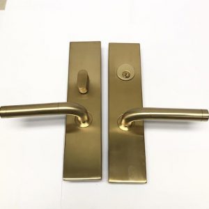 Cerr Mortise Entry Placa