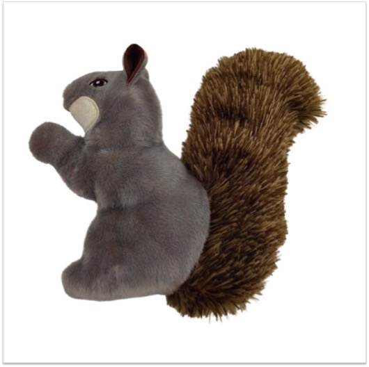 Outdoor Squirrel SM