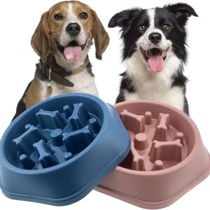 Slow Feeding Bowl Bone (Red, Purple, Teal)