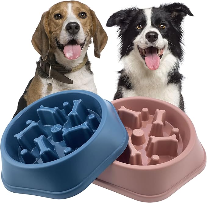 Slow Feeding Bowl Bone (Red, Purple, Teal)